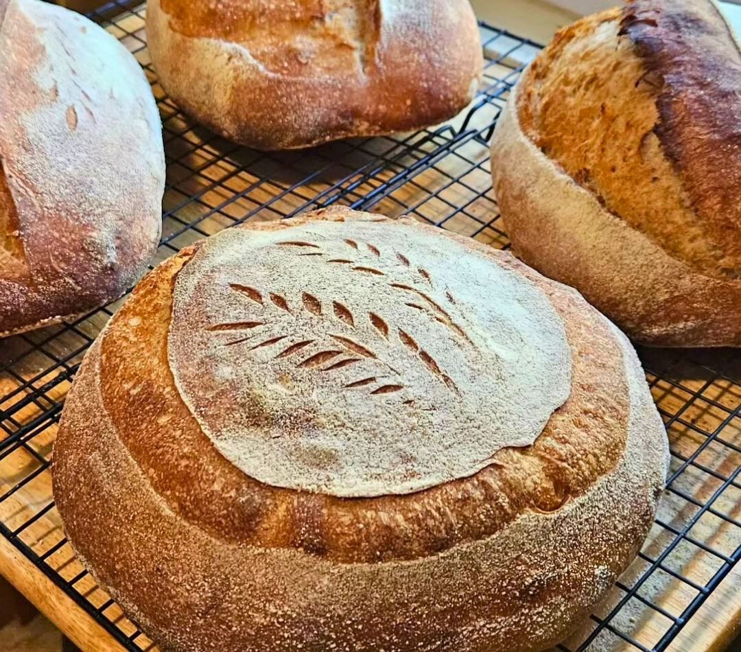 Whole Grain Sourdough Bread 🍞 | Vegan, No Knead, Gut-Friendly